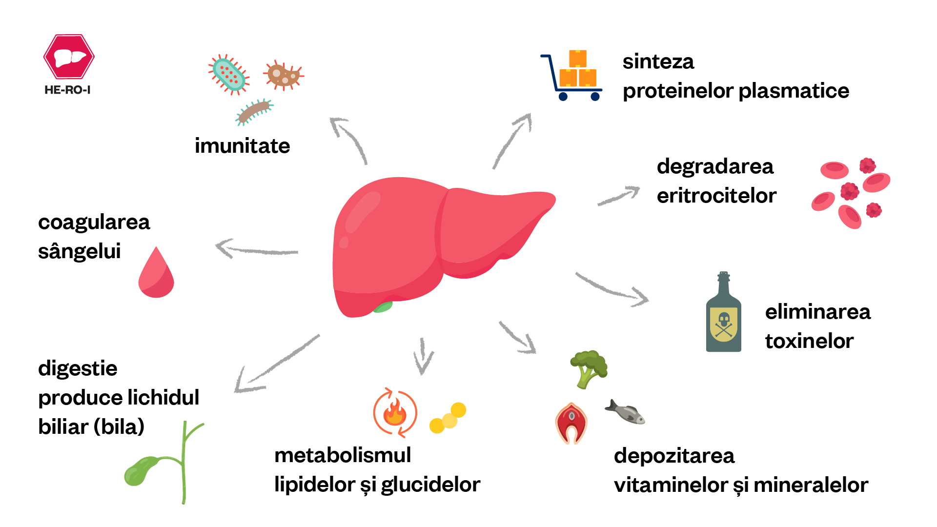 Infografică